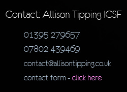 contact form link